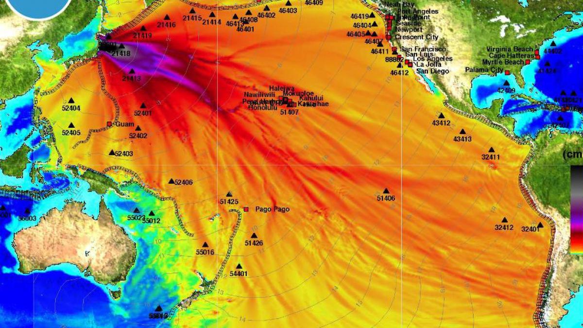 Alertă de tsunami în Japonia, după un cutremur cu magnitudinea de 6,5