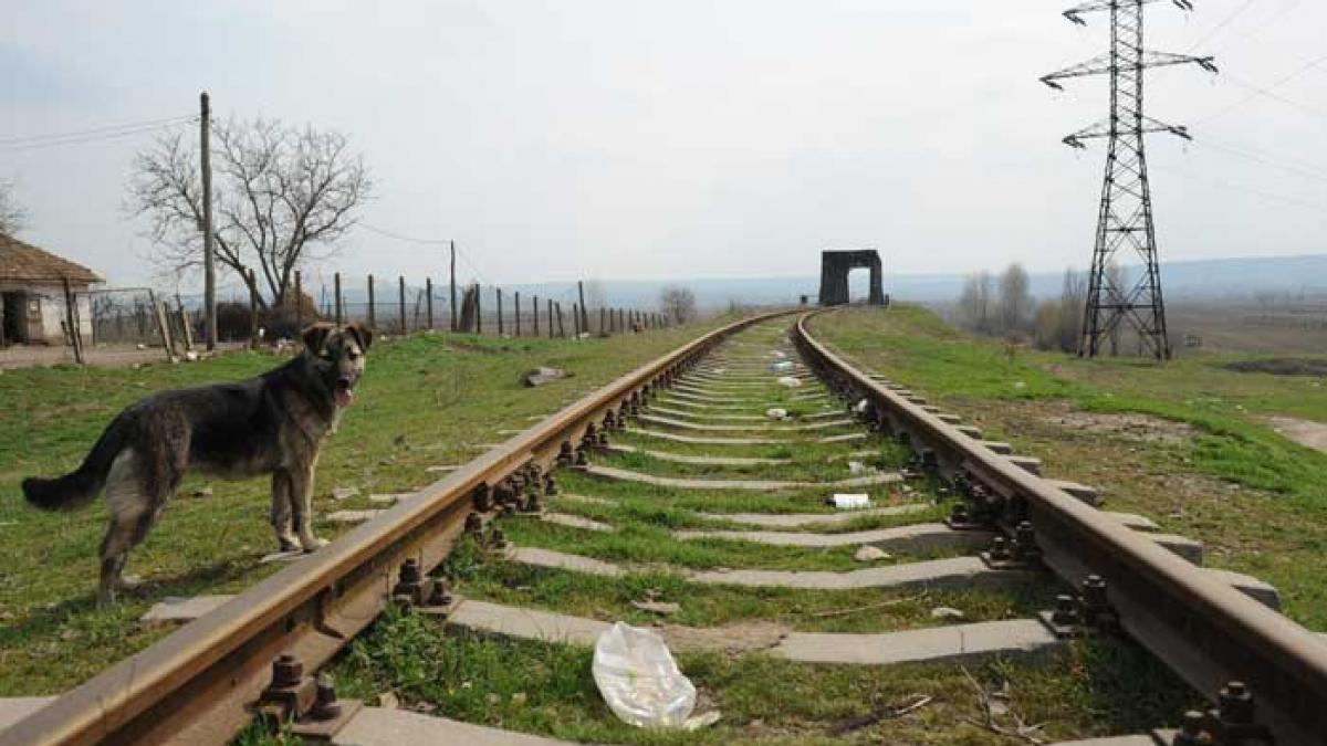 CFR închiriază 25% din şine
