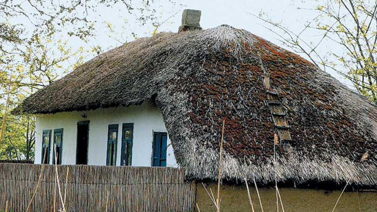 Casele vii din Delta Dunării