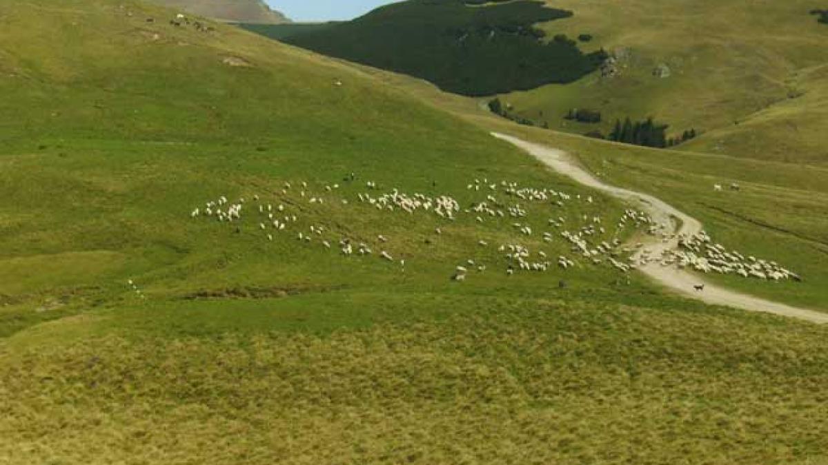 Liber la asfaltarea ariilor naturale protejate