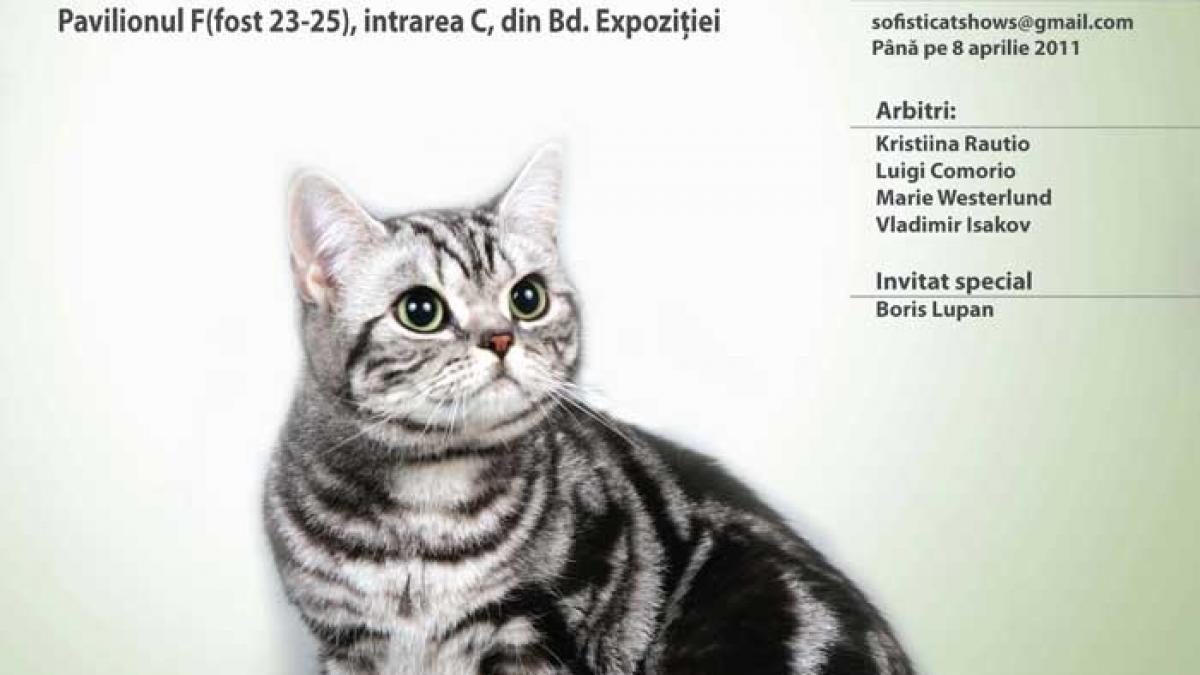 SofistiCAT de primăvară
