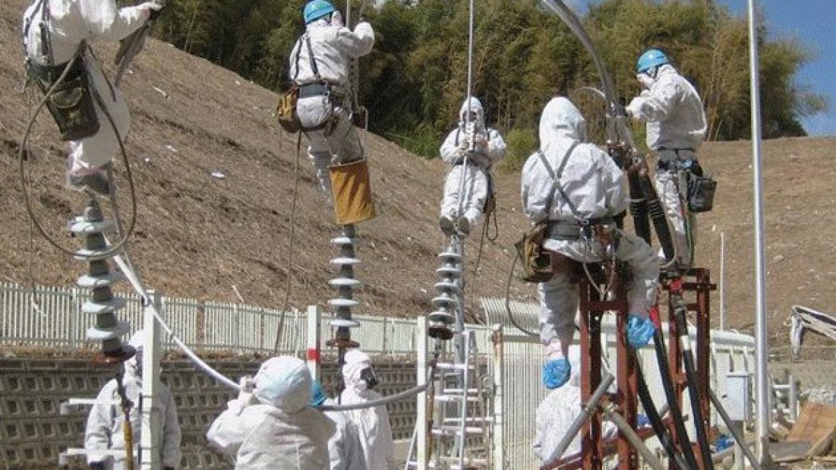 Oncologii japonezi vor să stocheze celule stem de la angajaţii centralei Fukushima