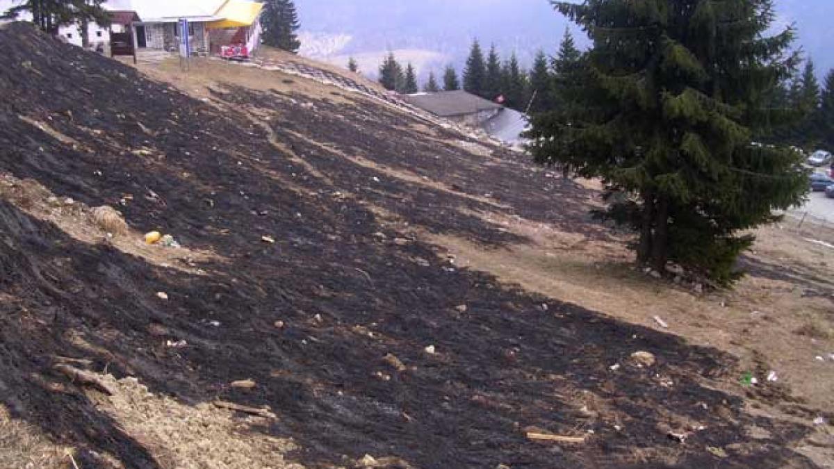 Incendieri ilegale în Munţii Bucegi