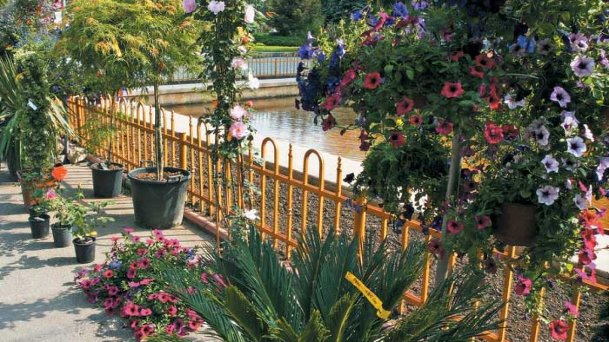 Grădina de Vară, în mai