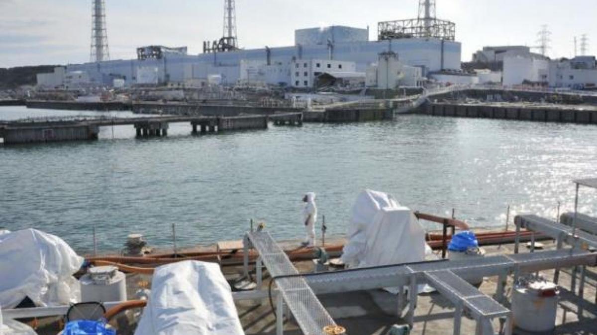 Nivel crescut al substanţelor radioactive în largul mării, la Fukushima