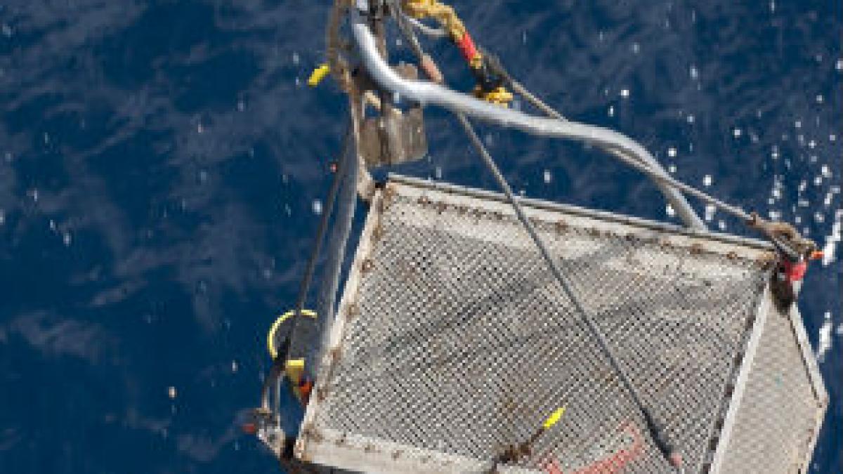 A fost recuperat primul cadavru din epava avionului Air France prăbuşit în 2009