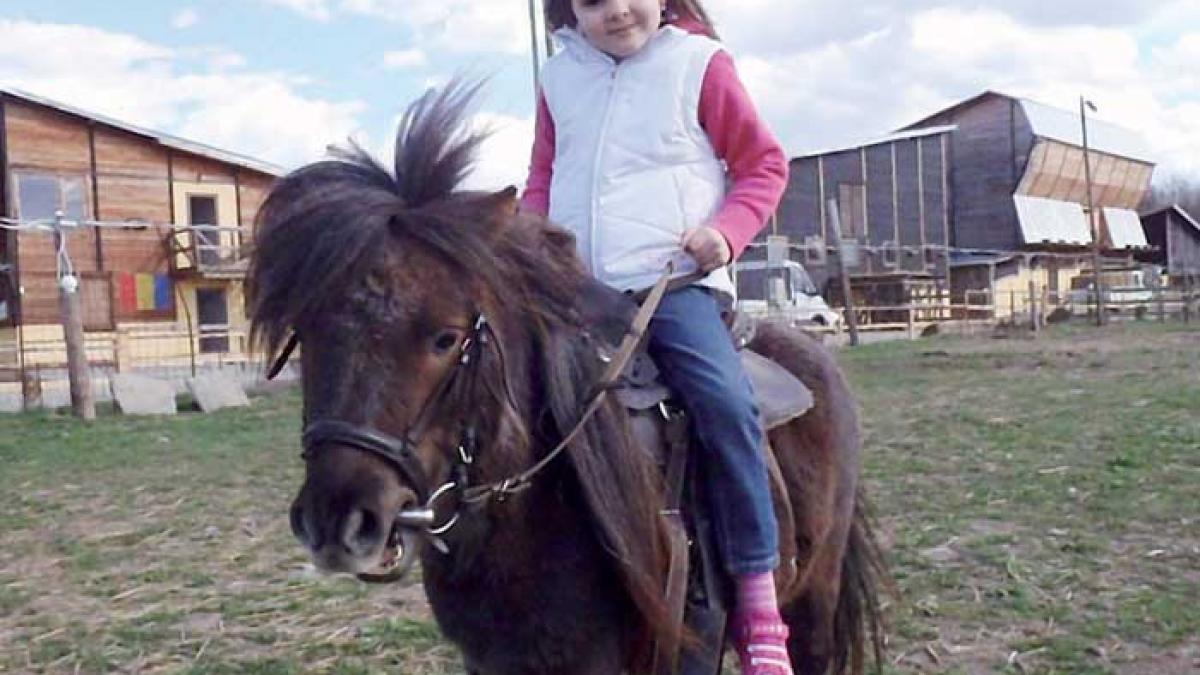 Carina şi Cătălin Radu Tănase, la echitaţie