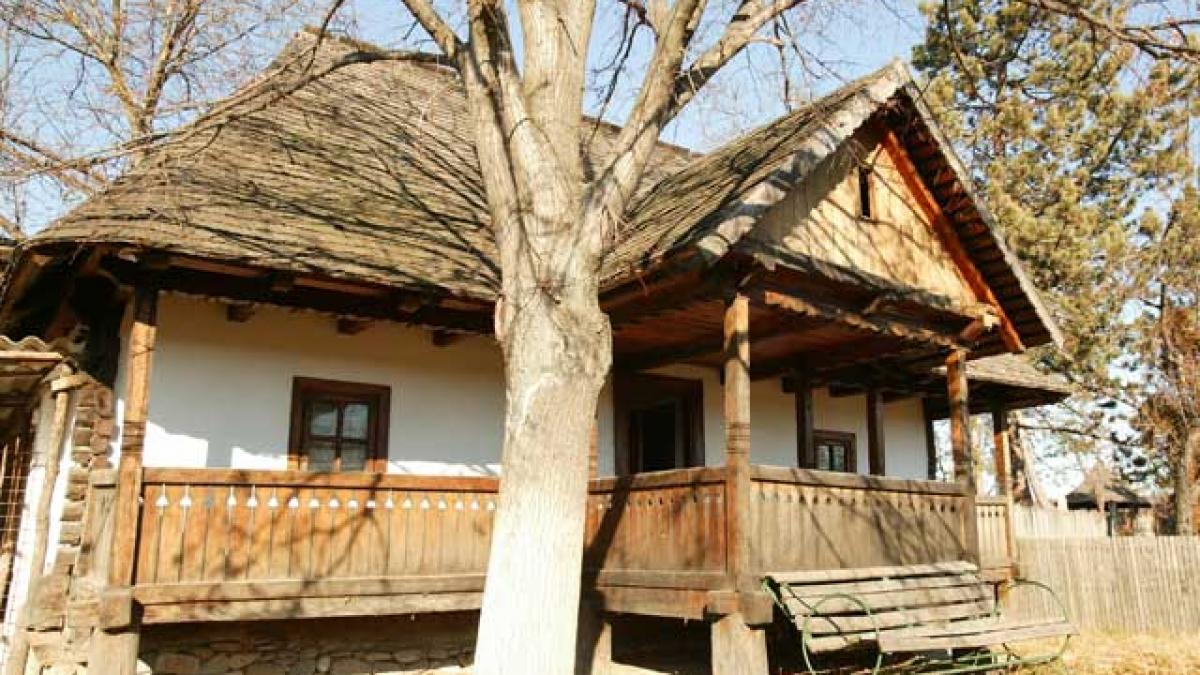 Ceauşescu, "frunza verde" şi paturile de la Armată
