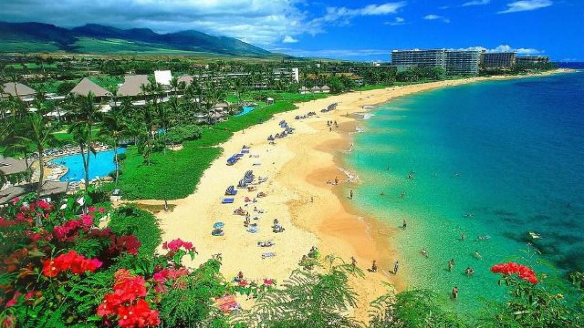 Ceapa din... Maui şi festivalul ei “aromat”
