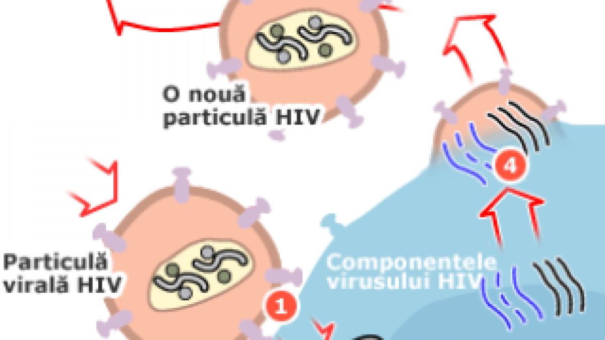 Un nou tratament reduce drastic riscul transmiterii virusului HIV-SIDA