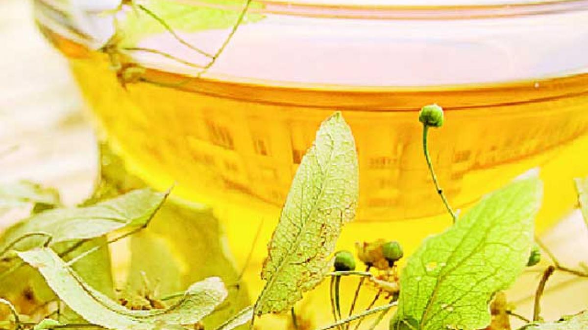 Infuzie de tei contra aftelor.