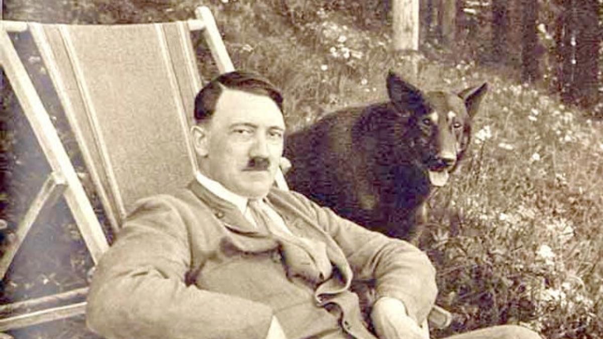 Naziştii dresau câini pentru a câştiga al doilea război mondial.