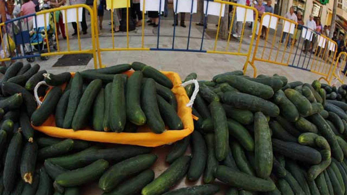 S-a găsit soluţia pentru E.coli: cultivarea castraveţilor pe Staţia Spatiala.