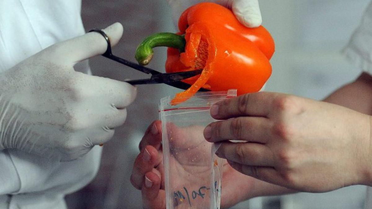 E.coli a ajuns şi în Canada.