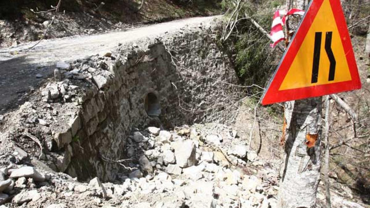 Udrea cu asfaltul, Borbely cu ecologia, fără să ştie multe unul despre altul.