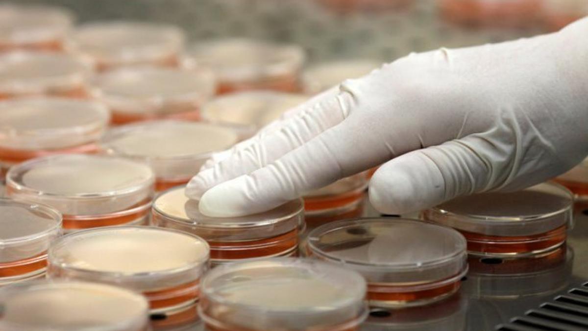 OMS: Numărul cazurilor de îmbolnăvire cu E.coli, în scădere.