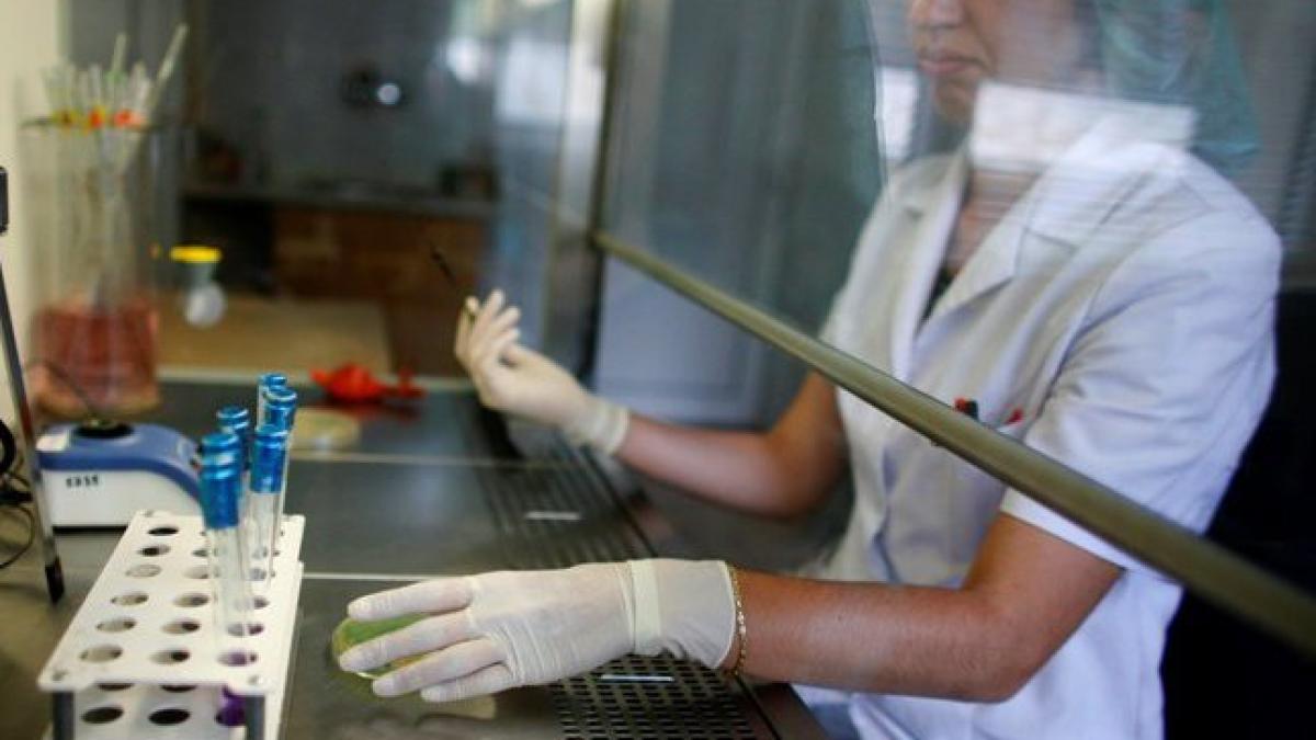 Suspiciune de E.coli în Bulgaria.
