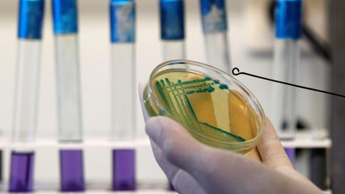 Bilanţul epidemiei de E.coli a ajuns la 35 de morţi.