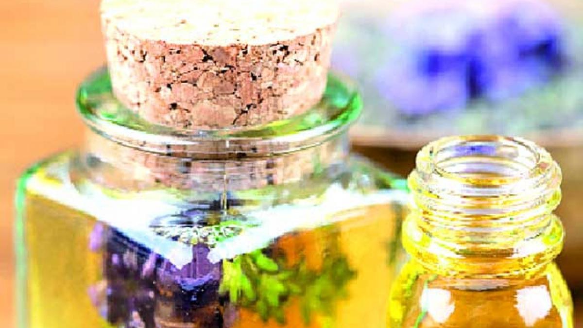 Rozmarinul, lavanda şi stresul.