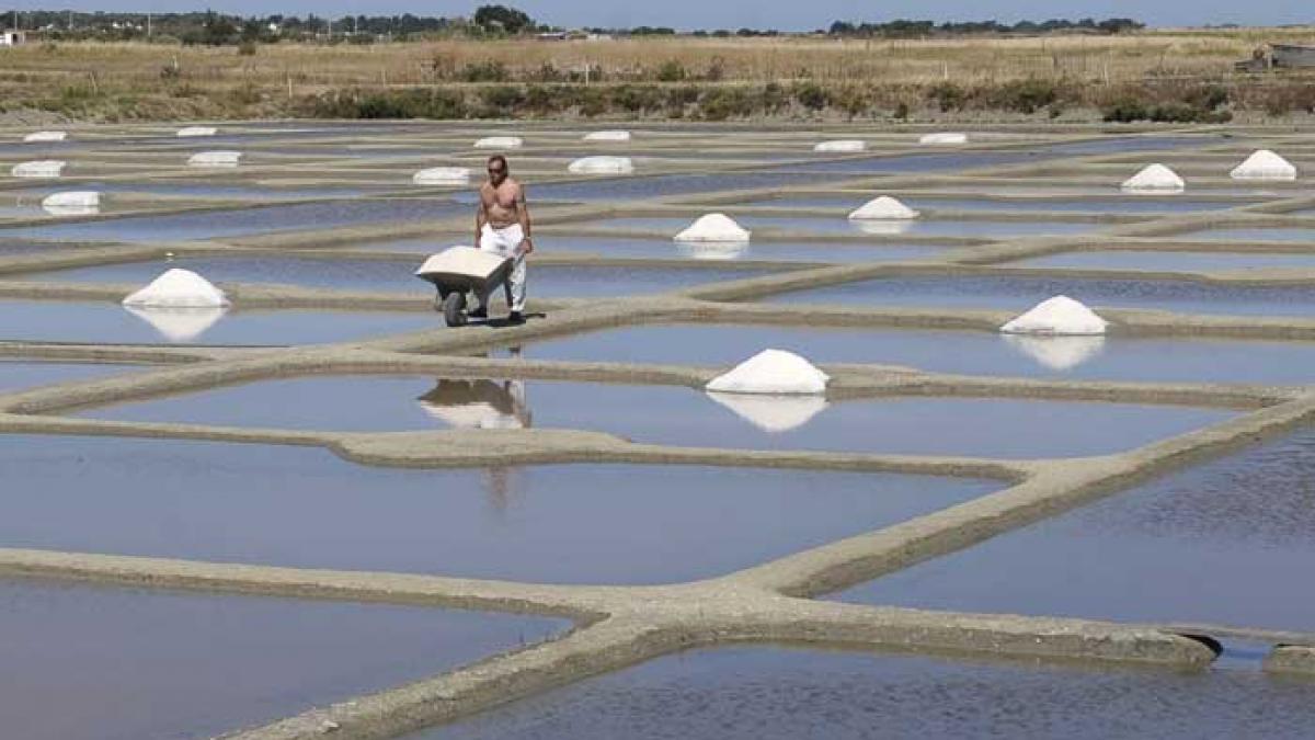 Noirmoutier, sare şi soare