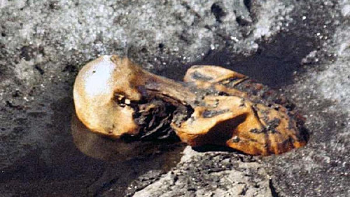Oamenii de ştiinţă au aflat ce a mâncat ultima oară Otzi, omul gheţurilor