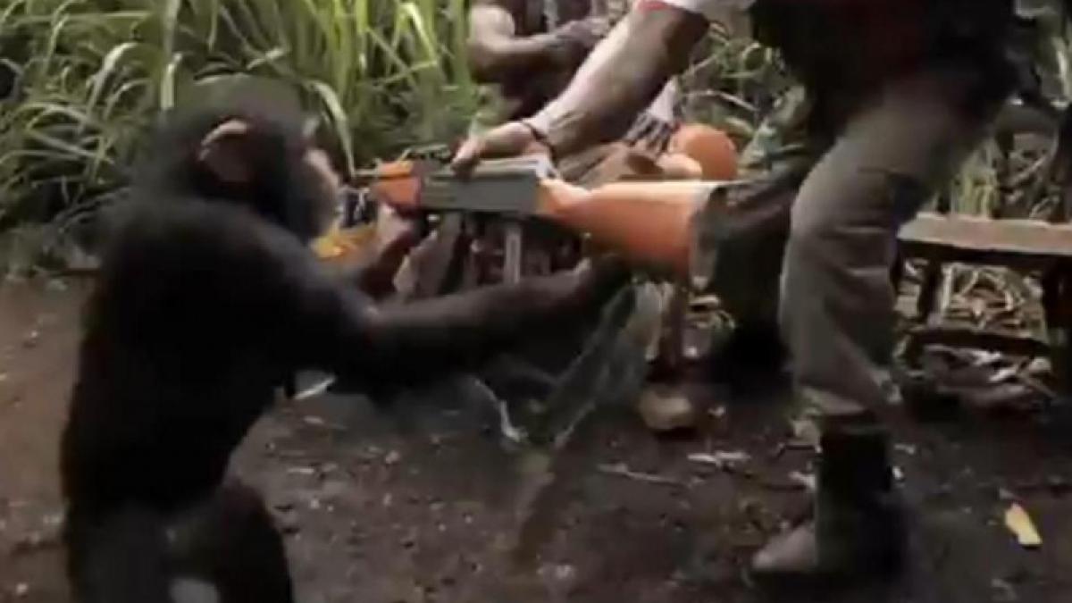 O maimuţă înarmată pune pe fugă un grup de soldaţi africani (Video)
