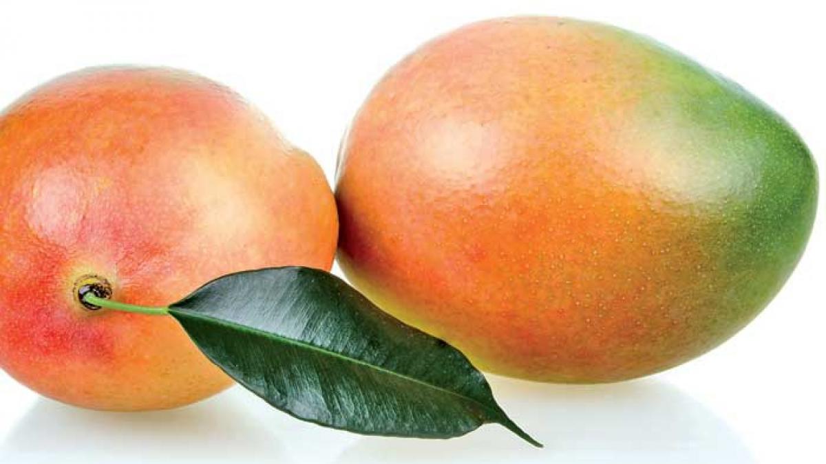 Mango, soluţie antistres