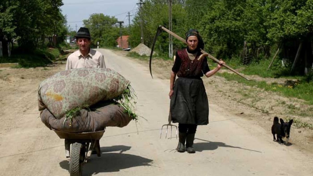 Statistica vrea să afle câţi români mai sunt în ţară