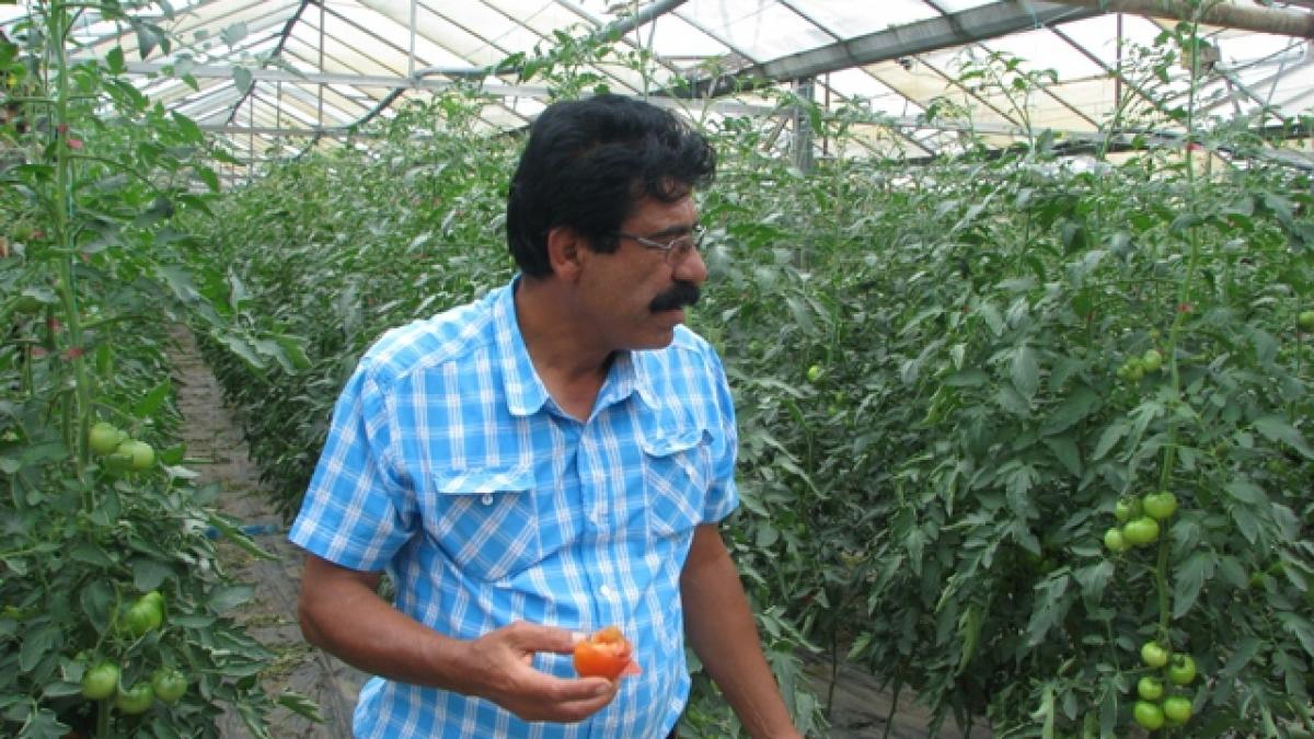 "Ce mănâncă românii? Iarbă?! Iarbă cultivăm!"