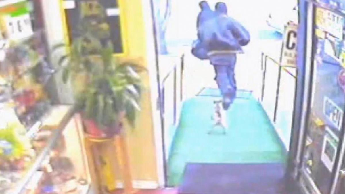 Un chihuhua "fioros" pune pe fugă doi hoţi (Video)