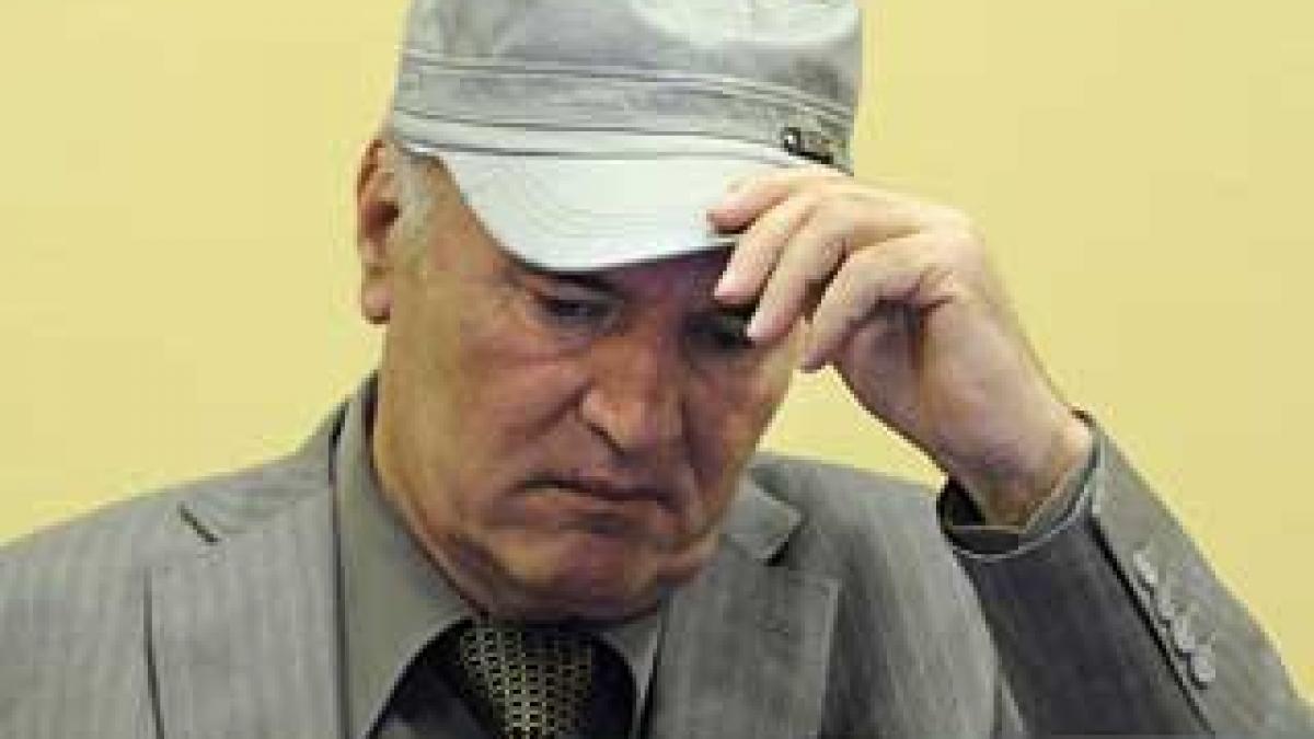 Mladici, la ora adevărului