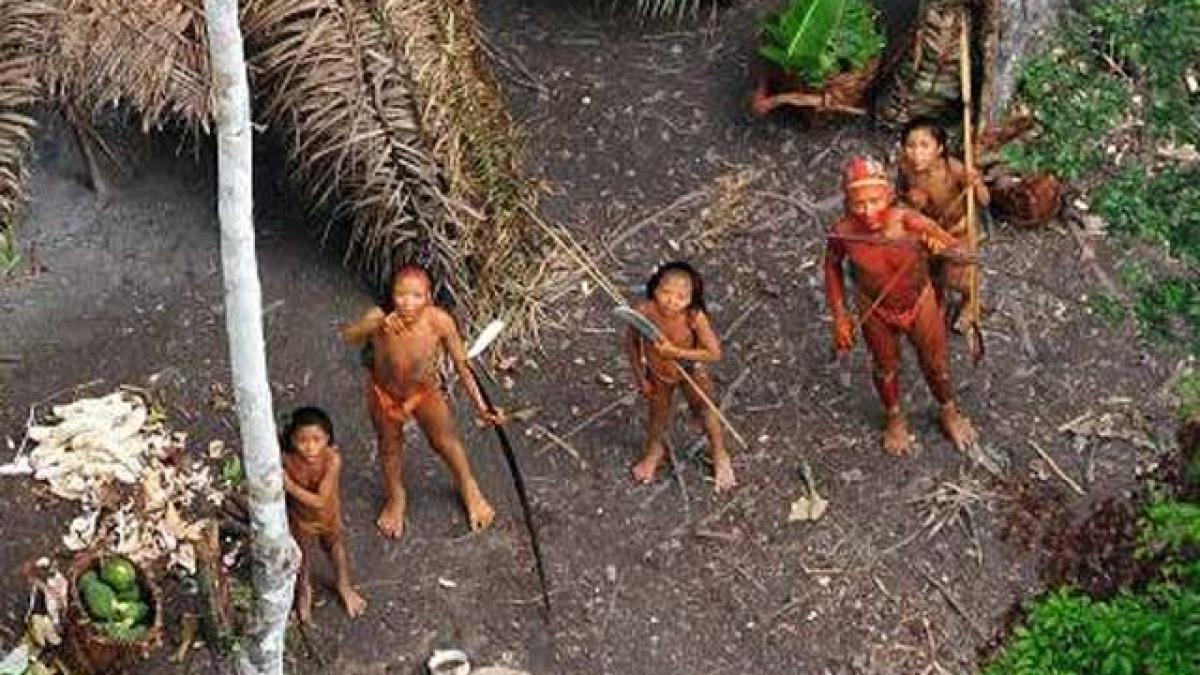 Tribul recent descoperit în jungla amazoniană, probabil exterminat de traficanţii de droguri