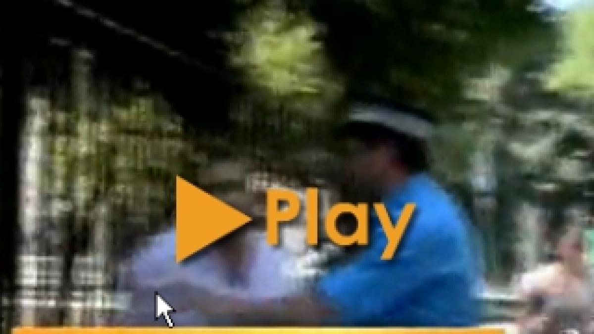 Jurnalişti agresaţi de romi la Timişoara (VIDEO)