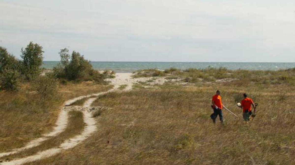 Delta Dunării, mistuită de flăcări
