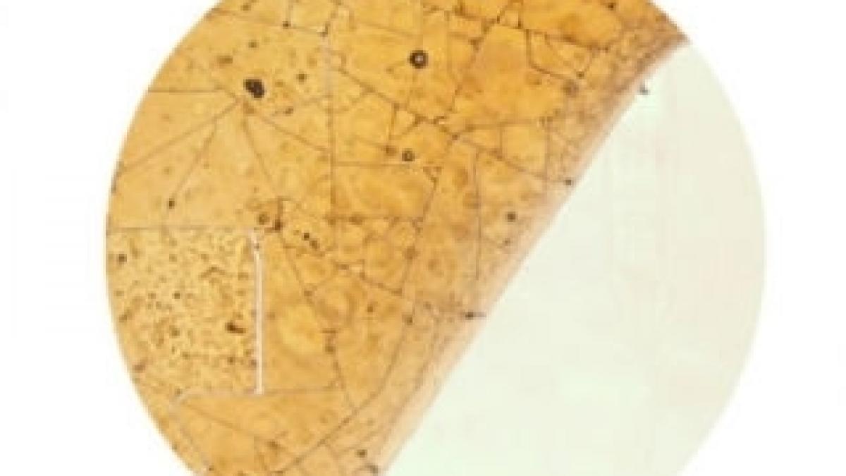 Vezi cum arată vinul, cola şi cafeaua puse sub microscop (GALERIE FOTO)