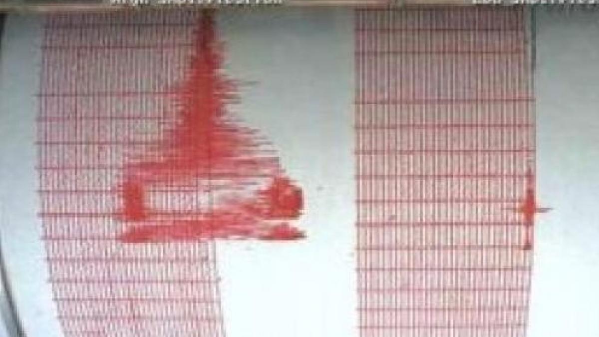 Patru cutremure în două zile, în zona Vrancea