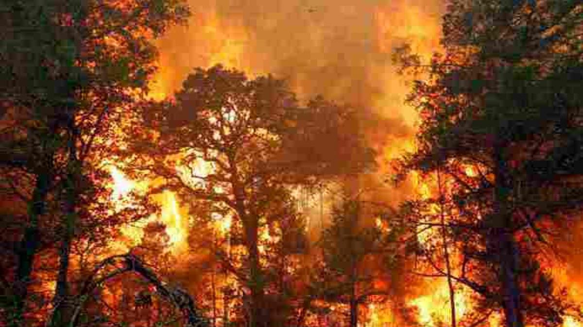 Sute de case arse şi doi morţi într-un incendiu din Texas