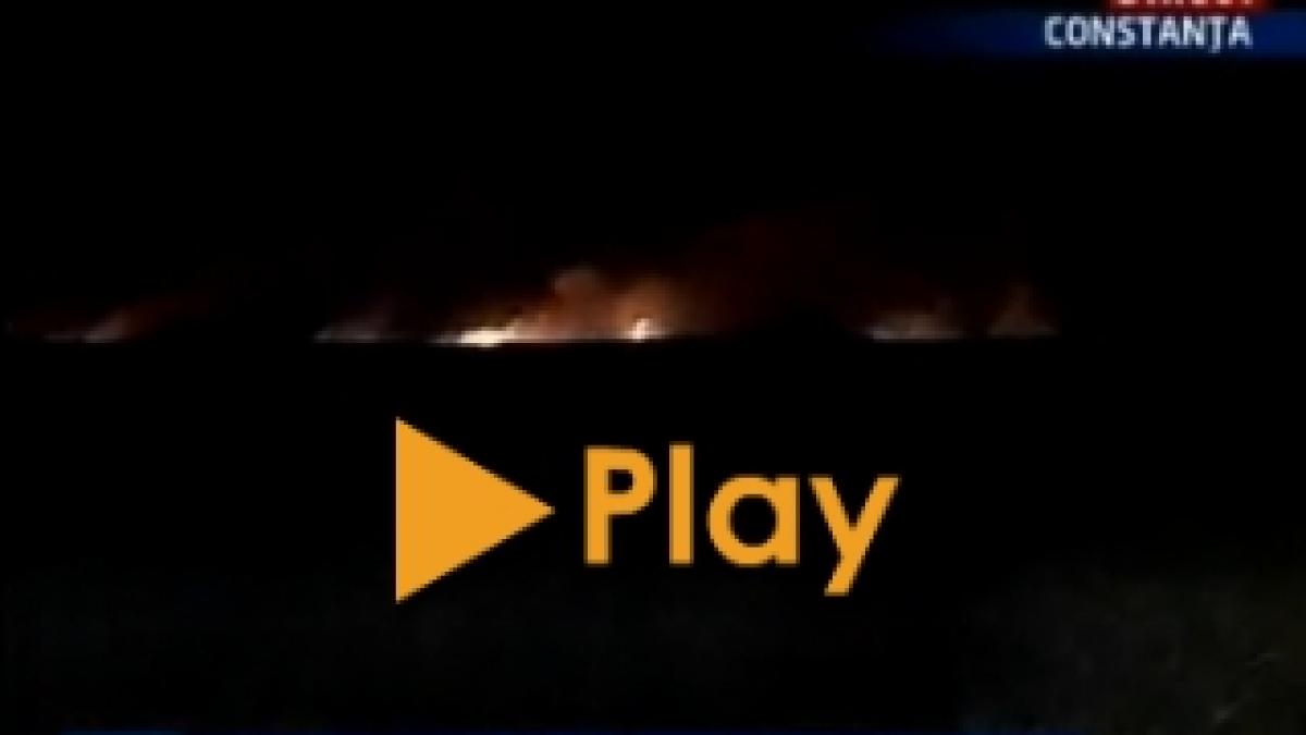Un nou incendiu în Rezervaţia Biosfera Delta Dunării (VIDEO)