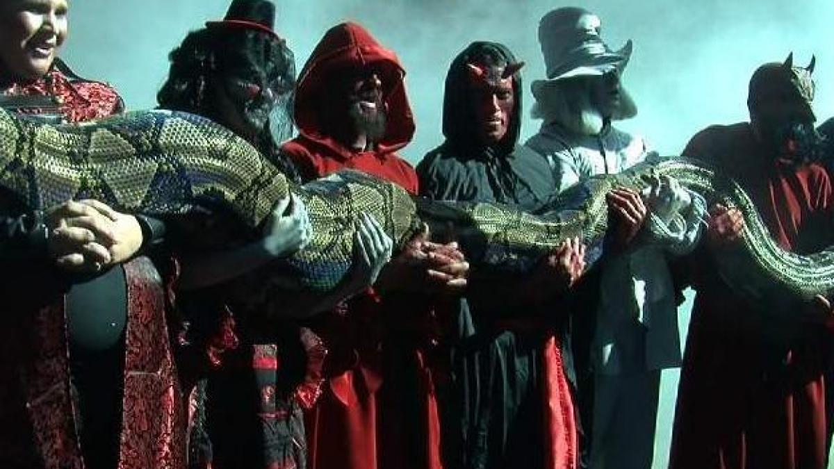 Faceţi cunoştinţă cu Medusa, cel mai mare şarpe din lume!