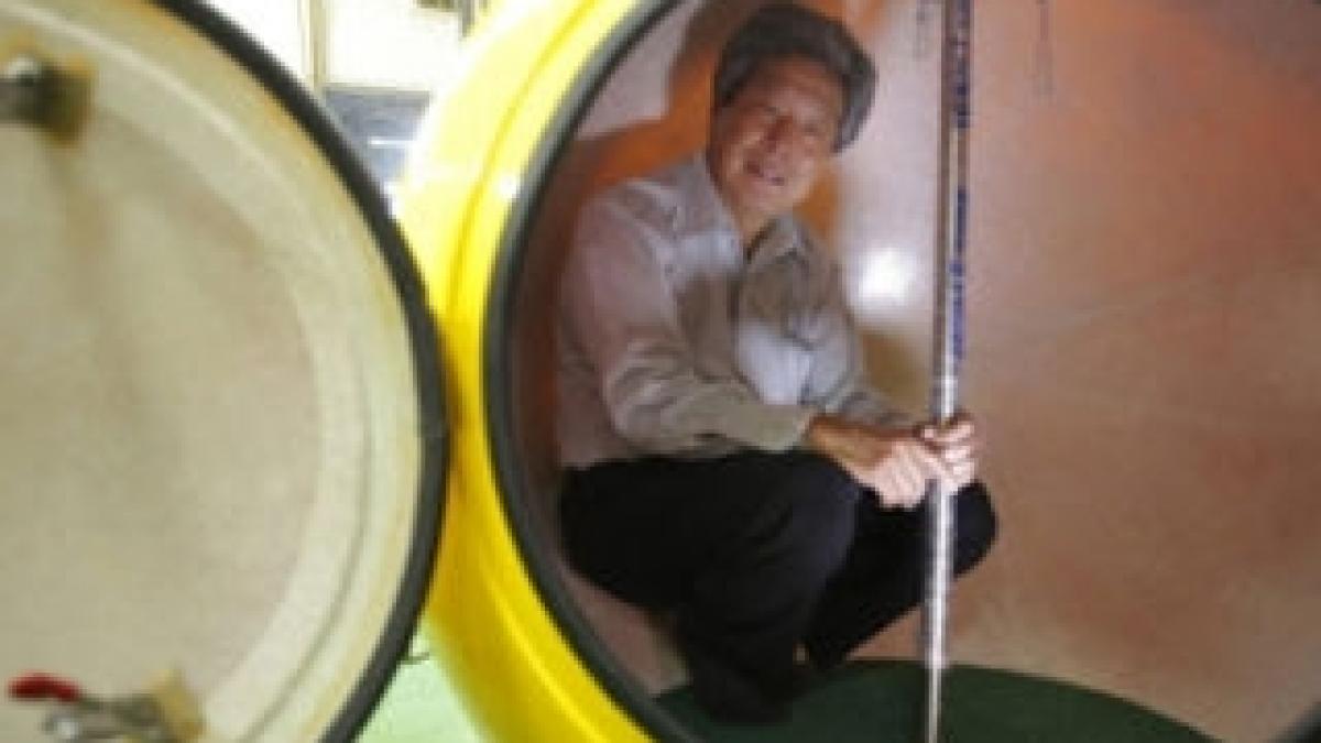 În aşteptarea unui nou tsunami devastator, japonezii au recreat Arca lui Noe în miniatură