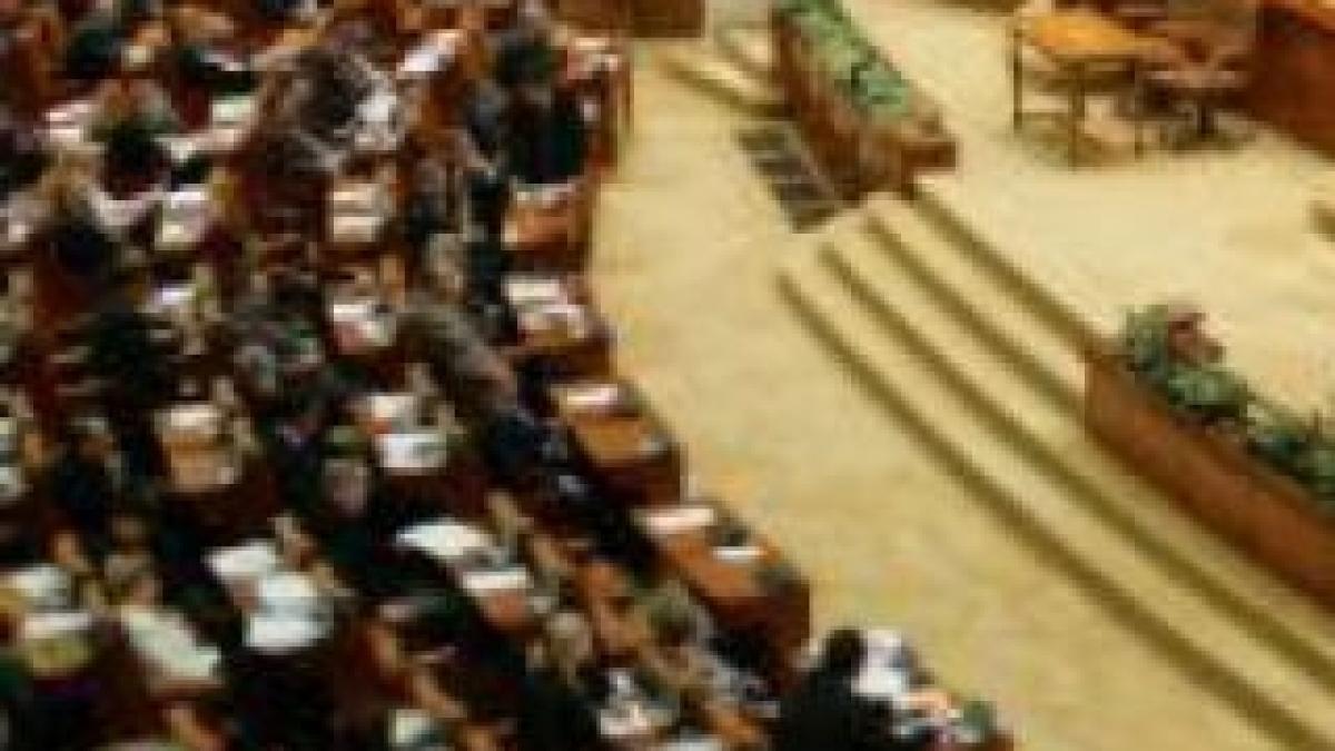 Regele Mihai a inspectat sala de plen în care va rosti discursul de marţi