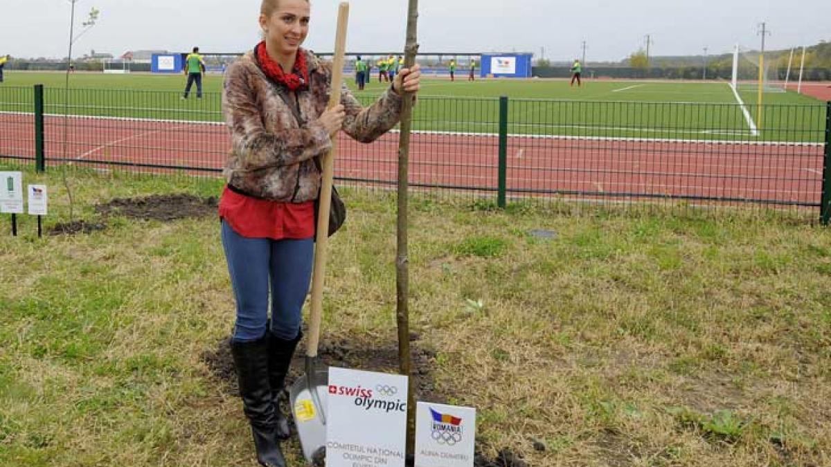 Arbori olimpici