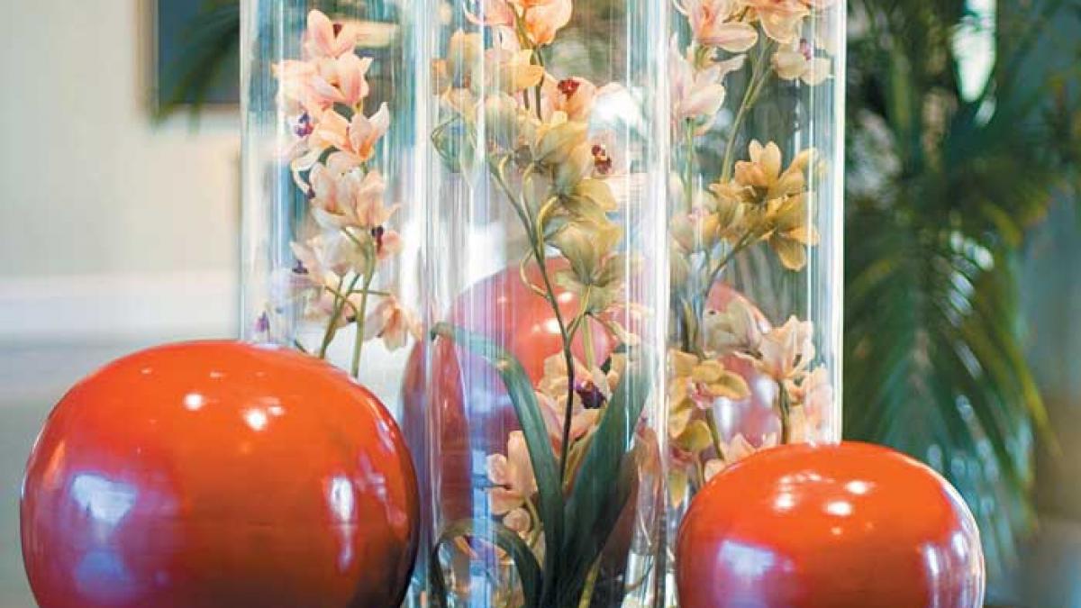 Plante naturale fără apă şi pământ