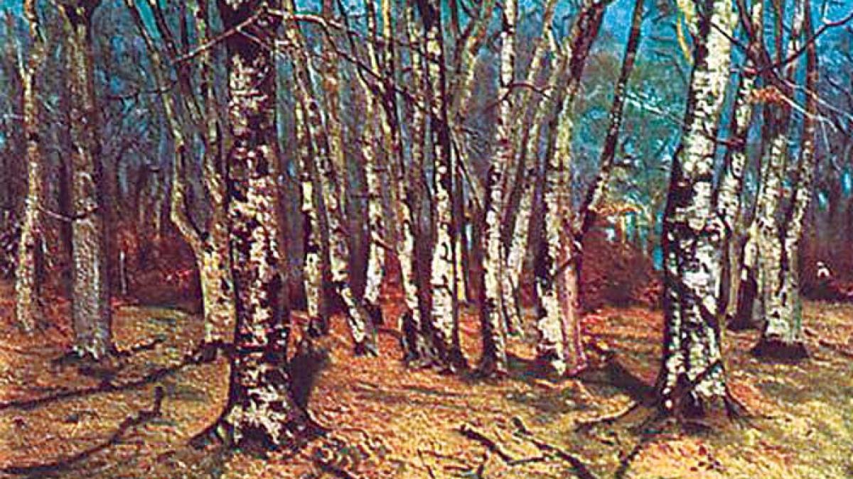 Claymoor - „Ecouri mondene” (35)