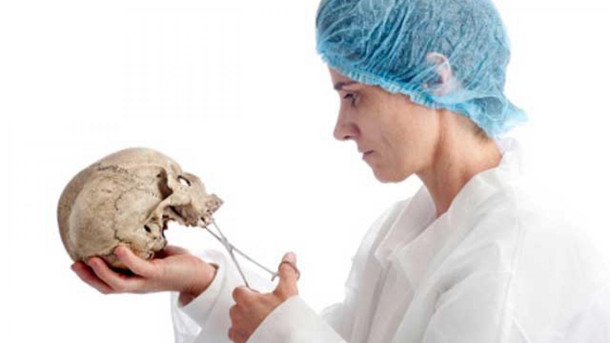 Studiu: Doctorii ar deveni mai buni dacă ar citi Shakespeare