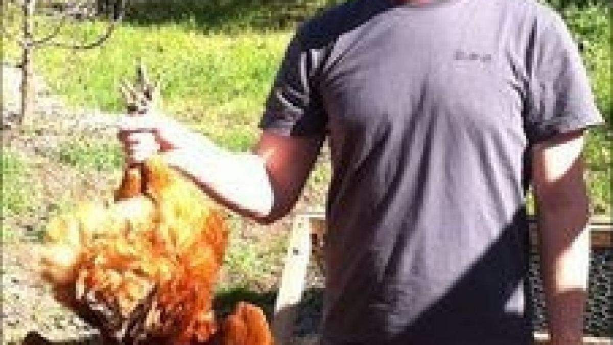 Hackerii au spart contul de Facebook al fondatorului reţelei de socializare. 14 poze înfăţişându-l pe Mark Zuckerberg au circulat la liber pe net