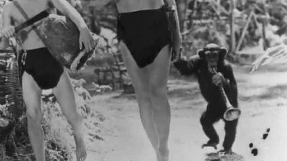 Maimuţa Cheetah din filmul "Tarzan" a murit la 80 de ani (VIDEO)