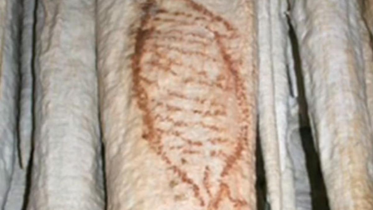 Bombă academică: Cele mai vechi opere de artă din lume, descoperite în Spania (VIDEO)