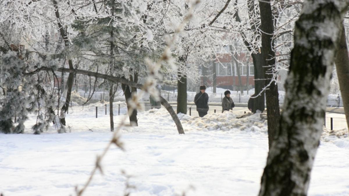 Minus 23 de grade Celsius la Miercurea Ciuc
