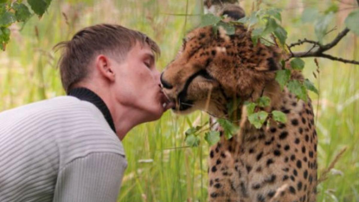 Imagini impresionante cu un ghepard care pupă un student rus